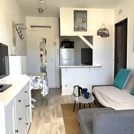 公寓 4 Couchages A Avec Climatisation Et Parking *